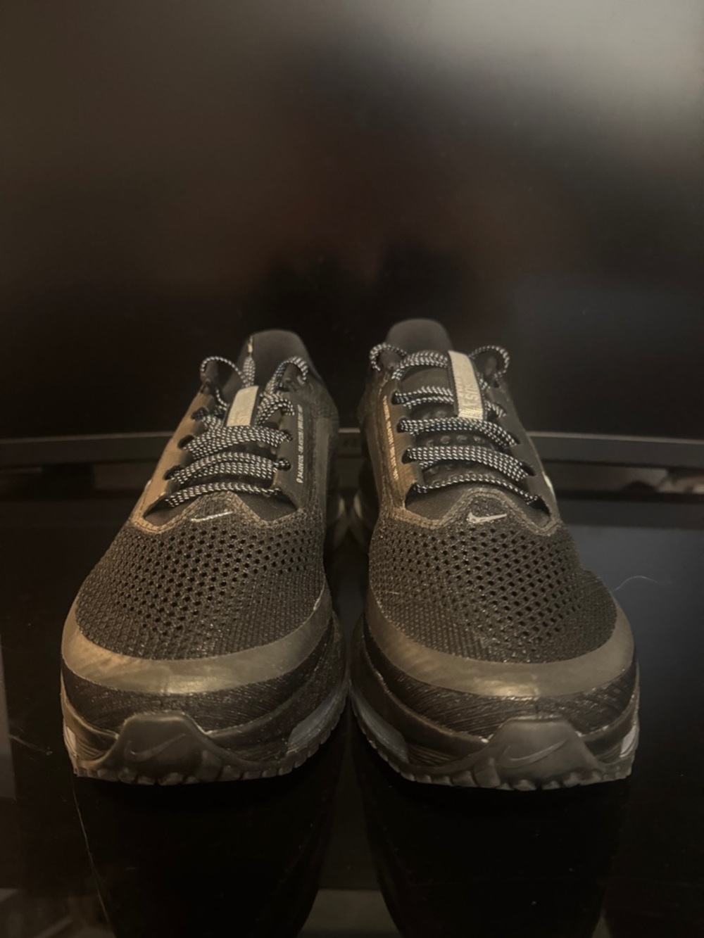 Nike Pegasus Premium - Picture 2 of 5